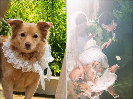 /사진=서동주 개인계정