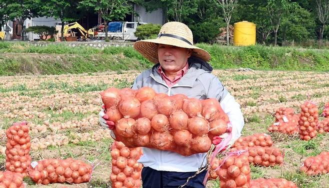 과거 농촌 일손 돕기 하던 성낙인 경남 창녕군수 [연합뉴스 자료 사진]