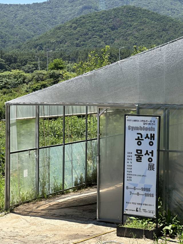 부산 기장군 정관읍 두명마을 밖_앝에서 열리고 있는 기획전 '공생물성' 전시장 입구 비닐하우스 모습. 김은영 기자