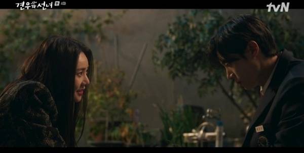 tvN 월화드라마 '견우와 선녀'./사진=tvN '견우와 선녀' 영상 캡처