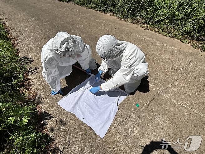 진드기 밀도조사(서귀포시 제공)/뉴스1