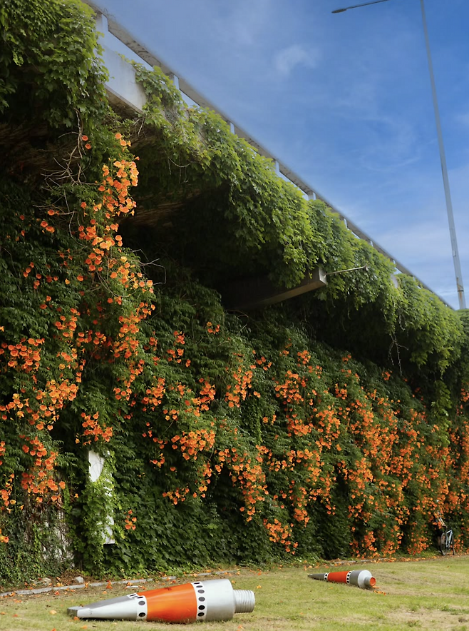 인스타그램 @won.phot0