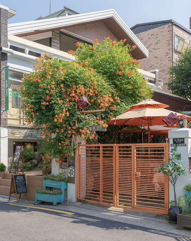 인스타그램 @dony._.pic