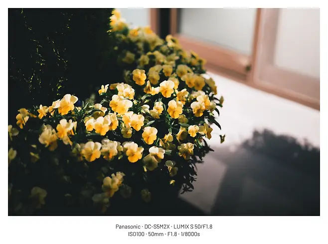 099ef107c7f360fe23ecf3e2479c7069f5625b1d79b01af2ae7a8a67c2532af69c6d2e82b7c1d97b73b2a9b91c7cea3dc5788099c33f