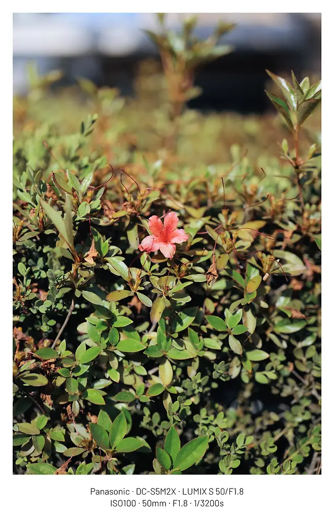 0bec8171b6f61eff23e683e4379c701cc8b26cb5aff03db4ee1d2675a6d7ac70dec25cf635a29d2925ee75ea9c9e1358cd3dec352eea