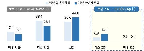 2025년 상반기 경영실적 및 하반기 경기 전망 〈출처:중기중앙회〉