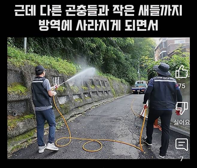 환경단체 러브버그 방역 반대하는 이유.