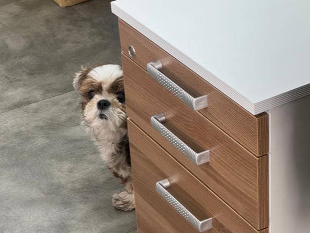 동그람이 김건희 에디터 제공동그람이 김건희 에디터 제공