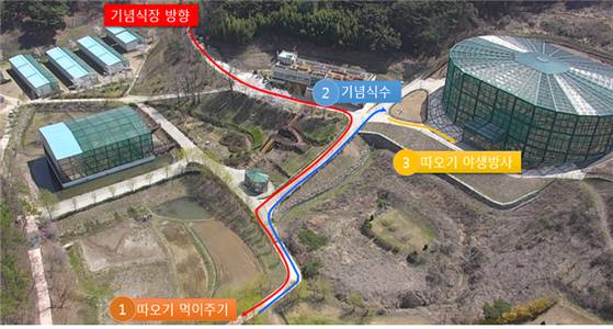 따오기 방사 행사 진행도. [제공 창녕군]