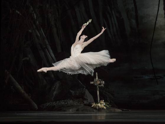 영국 로열 발레 수석 무용수 나탈리아 오시포바가 '지젤'을 연기하는 모습. 사진 LG아트센터
