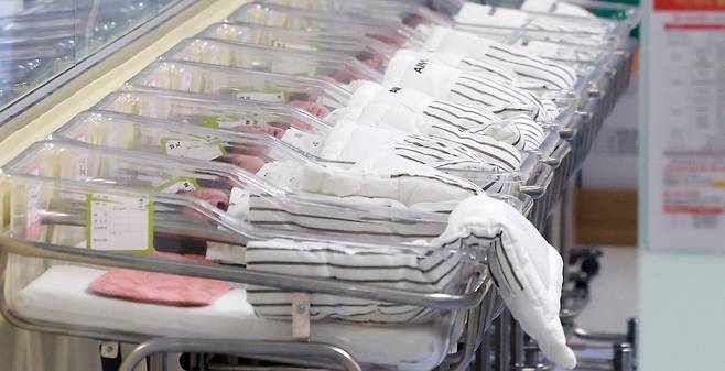 인천 미추홀구 아인병원에서 신생아들이 인큐베이터에 누워 있다.  사진=뉴스1