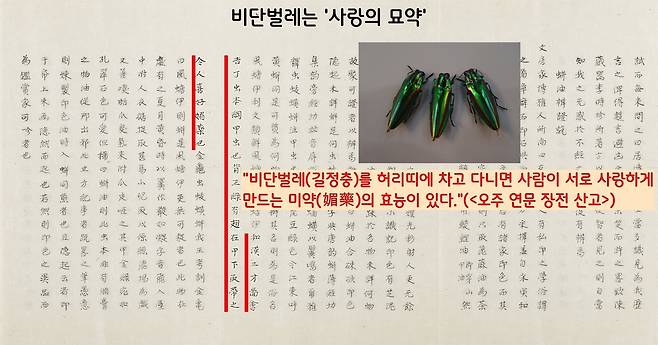 이규경의 <오주 연문 장전 산고>는 “비단벌레를 허리띠에 둘러차고 다니면 서로 사랑하게 만드는 미약(媚藥)의 효능이 있다”고 했다. ‘비단벌레=사랑의 묘약’으로 여긴 것이다.