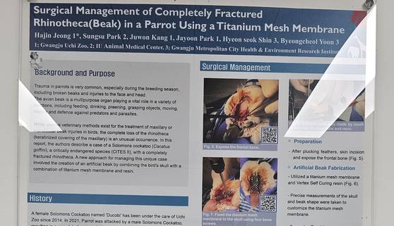 A journal article introducing the procedure for artificial beak surgery on a parrot is posted on the hospital wall inside Uchi Zoo in Buk District, Gwangju on June 28. [JEONG EUN-HYE]