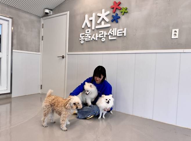 서울 서초구에서 오는 26일부터 8월 10일까지 양재동 서초동물사랑센터에서 반려견 돌봄쉼터를 운영합니다. 돌봄쉼터는 지난 2019년부터 7년째 운영되고 있으며, 80평 넓이의 센터에 상주 직원들이 쾌적한 돌봄 서비스를 제공하는 것이 특징입니다. 서초구 제공
