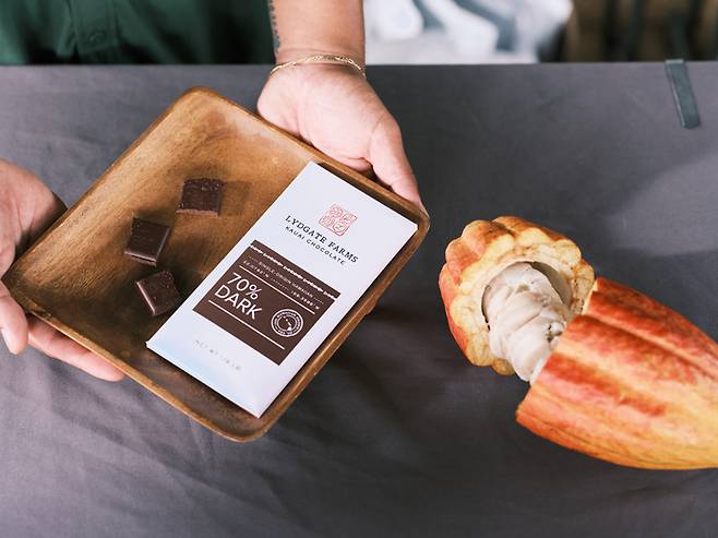 하와이에서 최근 인기를 끌고 있는 체험 중 하나인 빈 투 바 투어 / 사진=하와이 관광청