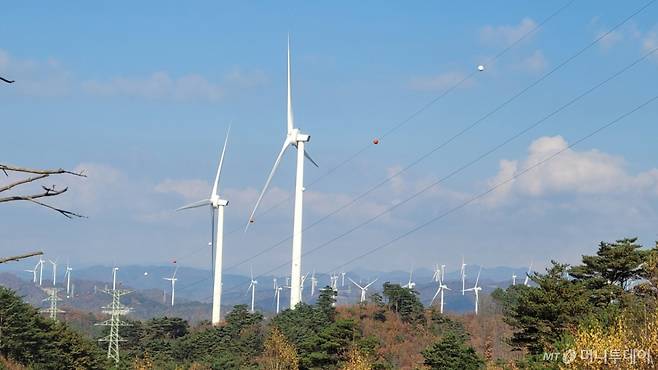 경상북도 영양군 일대 풍력단지 전경/사진=권다희 기자