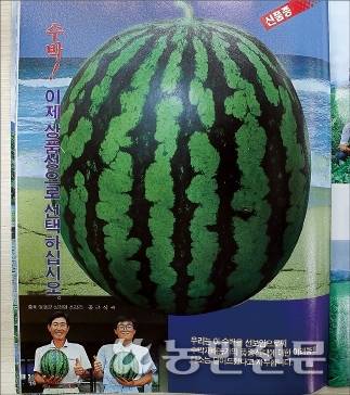 1992년 농진종묘 카탈로그에 실린 공씨가 키운 신품종 수박. 아래는 아버지(왼쪽)와 그의 모습. 백승철 프리랜서 기자