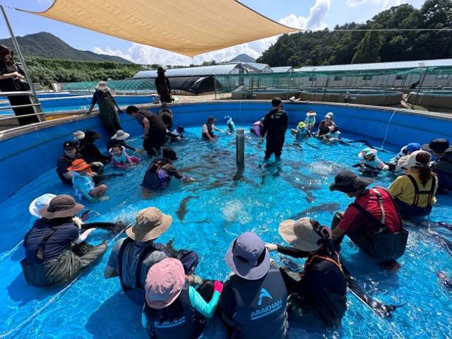 ▲철갑상어 만져보기 프로그램 현장(자료사진) ⓒ경기도해양수산자원연구소