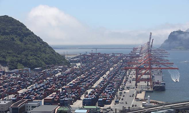 부산항 신선대부두 야적장에 컨테이너가 가득 쌓여 있다. 뉴스1