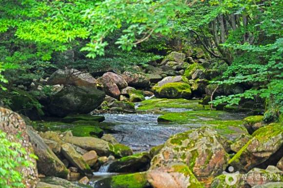송계계곡 (사진-한국관광공사)