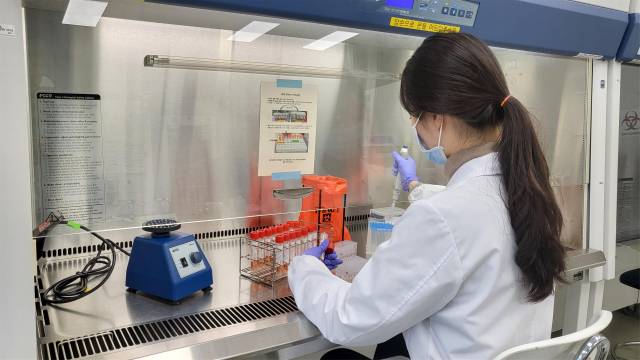 대구보건환경연구원 소속 연구원이 시료를 조사하고 있다. 대구보건환경연구원 제공.