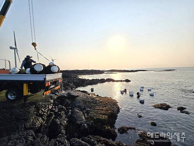 지난 6월 말 제주시 구좌읍 김녕리에서 진행된 우뭇가사리 수확작업 모습. ⓒ헤드라인제주