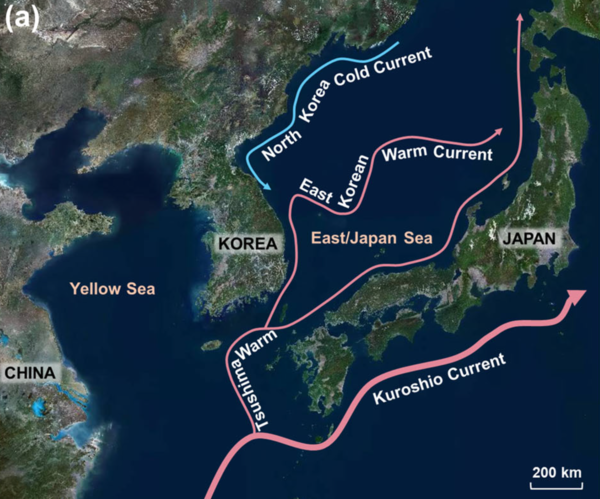한반도에 영향을 미치는 주요 난류와 한류 흐름도. (자료=KIOST)