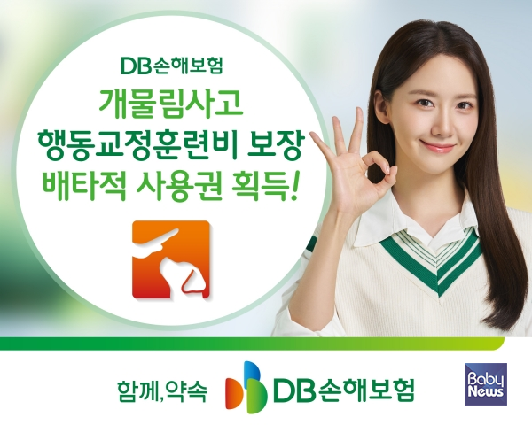 개물림 행동교정.&nbsp;ⓒDB손해보험