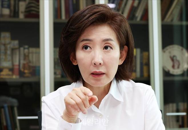 나경원 국민의힘 의원 ⓒ데일리안 홍금표 기자
