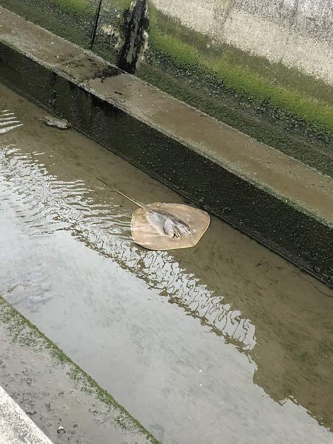 799cf370c4856cfe23e886e6469c70183c49a01fbf61c27c1e3dcf9a68681b383de5b7f59553edeb3016786d9d9be23350b0d706