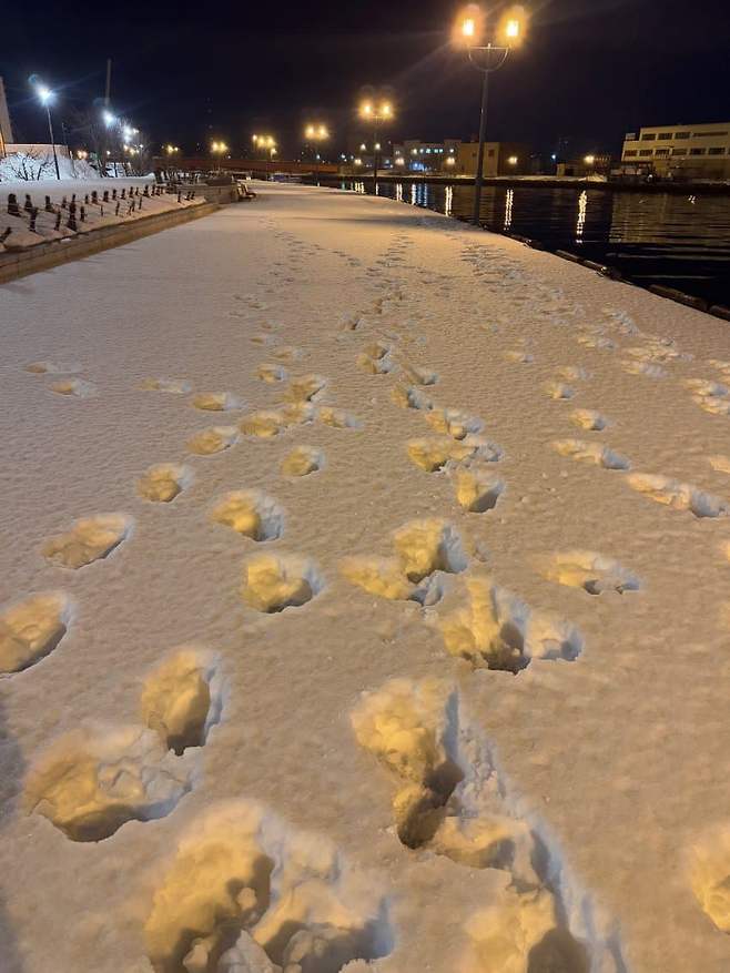 089f8702c7851b85239ef4e4479c701b793b0ac7a224651855816c0e686797e36a91504667429a2c9f1eff3b99df966586c3016f86