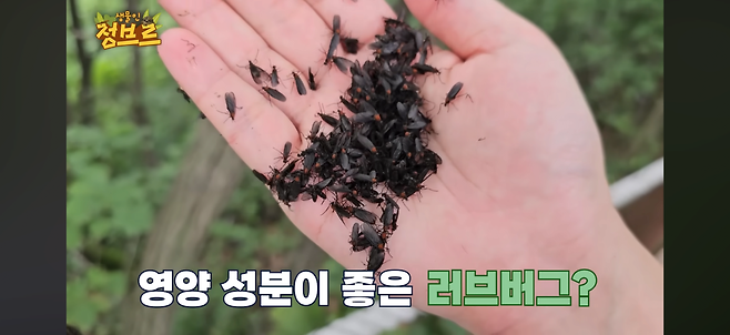 인천과 서울에 떴다는 헬창들이 환장할만한 무료 단백질 보충제