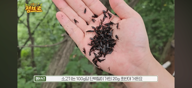 인천과 서울에 떴다는 헬창들이 환장할만한 무료 단백질 보충제