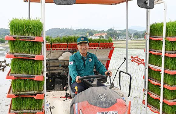 이앙기 운전하는 성낙인 경남 창녕군수. [사진=경남 창녕군]