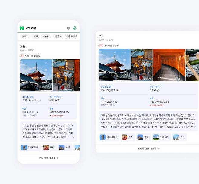 AI 브리핑은 여행에 필요한 정보도 요약해주는데 현재 일본 지역만 지원한다 / 출처=네이버