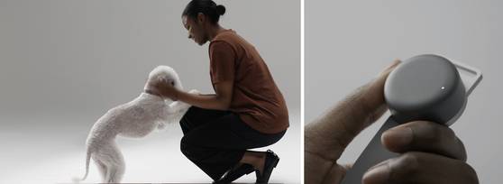 반려동물 건강 모니터링 시스템 개발하는 케어식스의 웨어러블 기기 '센스 1 벳(Sense 1 VET)' 사진 케어식스