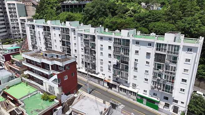 벼룩이 나온 부산 중구의 한 아파트