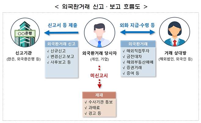 외국환거래 신고·보고 흐름도. 금융감독원