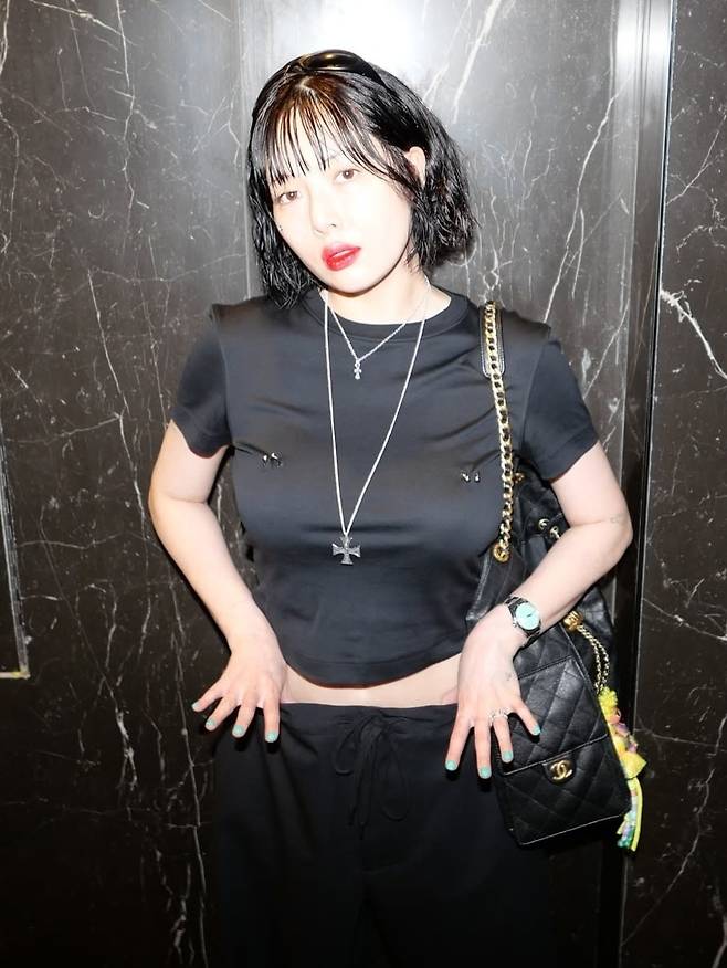 현아 소셜네트워크서비스 계정