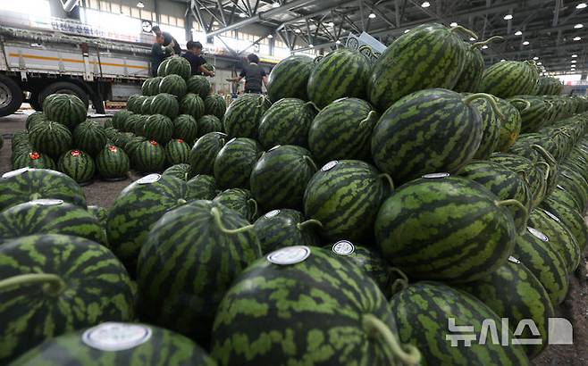 [인천=뉴시스] 전진환 기자 = 인천 남동구 남촌농산물도매시장에서 상인들이 여름 제철 과일인 수박 선별 작업을 하고 있다. 2025.06.17.  amin2@newsis.com