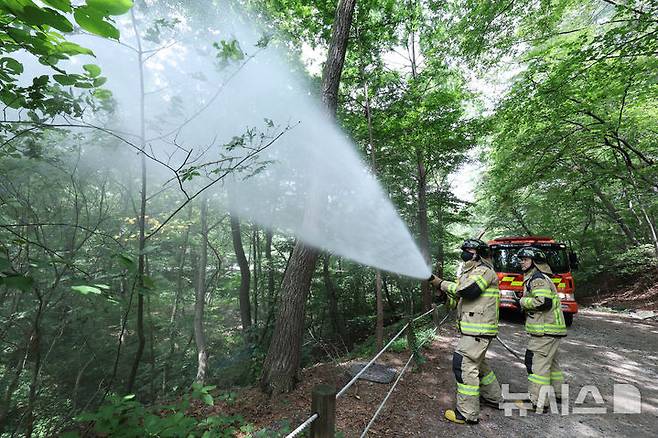 [서울=뉴시스] 권창회 기자 = 3일 서울 노원구 삼육대학교 인근 제명호에서 서울소방 관계자들이 '러브버그(붉은등우단털파리)' 방제작업을 하고 있다. 2025.07.03. kch0523@newsis.com