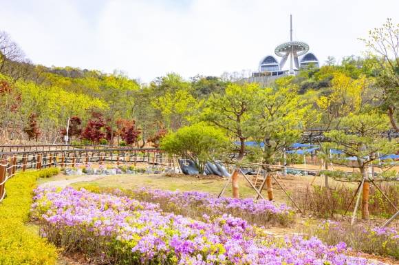 강화군의 대표 관광지이자 랜드마크인 화개정원. 강화군 제공