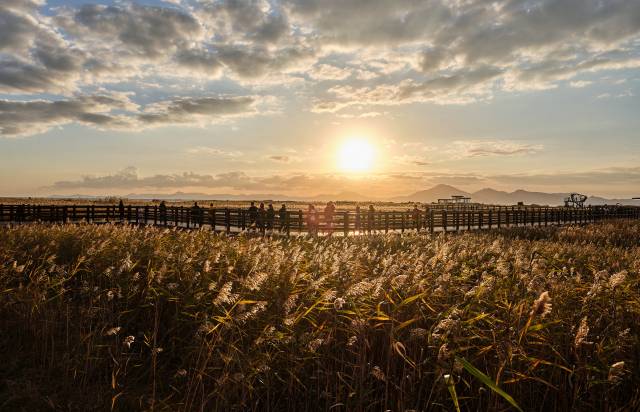 다대포해수욕장 전경. 사진제공=부산시