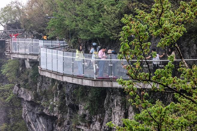 유리잔도 [사진/백승렬 기자]
