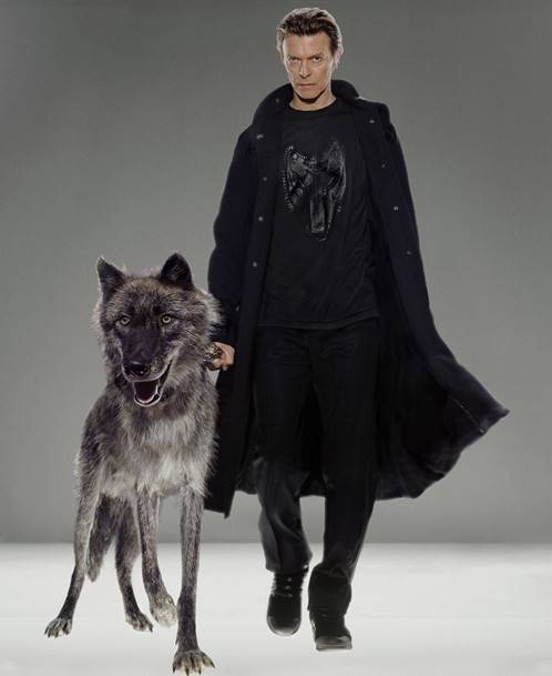 클링코의 2002년 作 'DAVID BOWIE, Natural Villians' ⓒMarkus Klinko, ACDC Co. [마르쿠스 클링코 제공. 재판매 및 DB 금지]