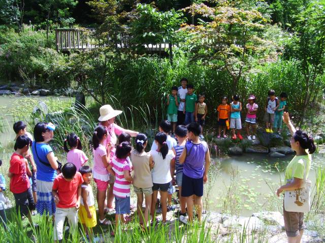 금산산림문화타운으로 여름휴가 오세요 사진=금산군