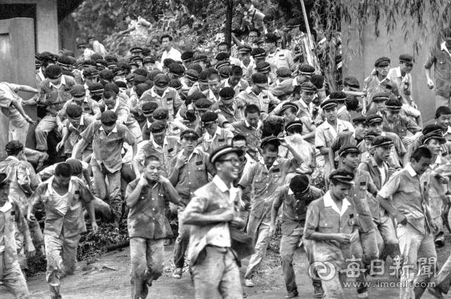 1969년 7월 10일 오전 3선 개헌 반대 데모에 나선 대구고 학생들이 교사들의 눈을 피해 교문 옆 가시덤불 울타리를 부수고 학교 앞 도로로 뛰어나오고 있다. 사진=매일아카이빙센터