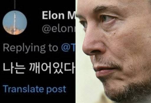 일론머스크가 올린 답글 (사진=일론머스크X, AFP 연합뉴스)