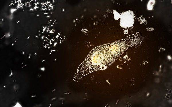 ⓒ게티이미지뱅크