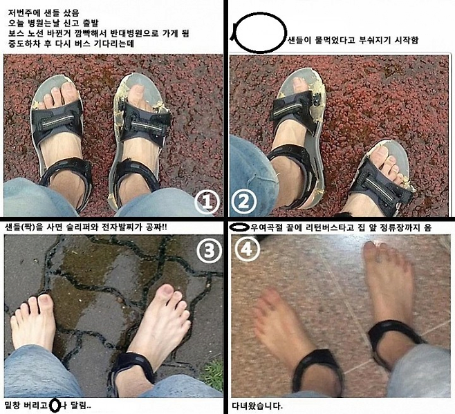 image.png 테무에서 백설기 사서 신고다닌 사람 jpg